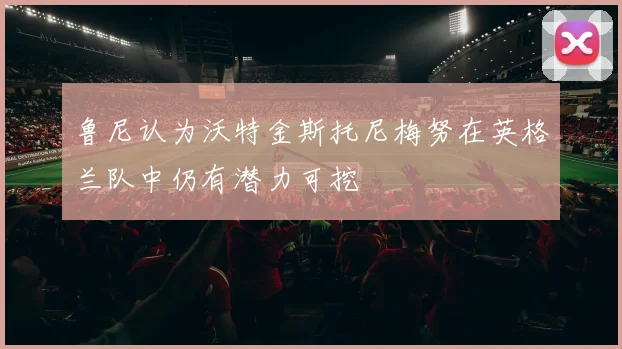 鲁尼认为沃特金斯托尼梅努在英格兰队中仍有潜力可挖