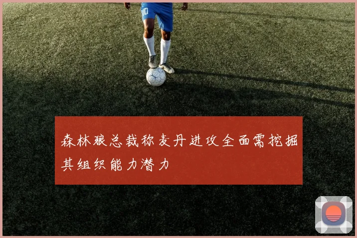 森林狼总裁称麦丹进攻全面需挖掘其组织能力潜力