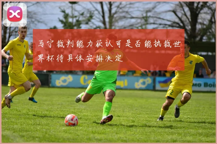 马宁裁判能力获认可是否能执裁世界杯待具体安排决定