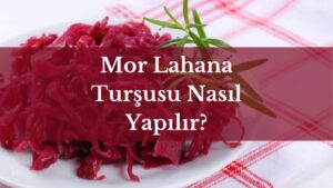 mor lahana turşusu