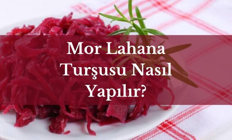 mor lahana turşusu